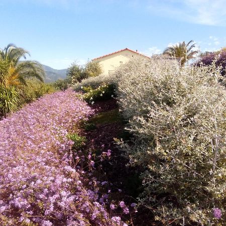 Appartamento Taggiasca A Riva Trigoso Sestri Levante Eksteriør billede