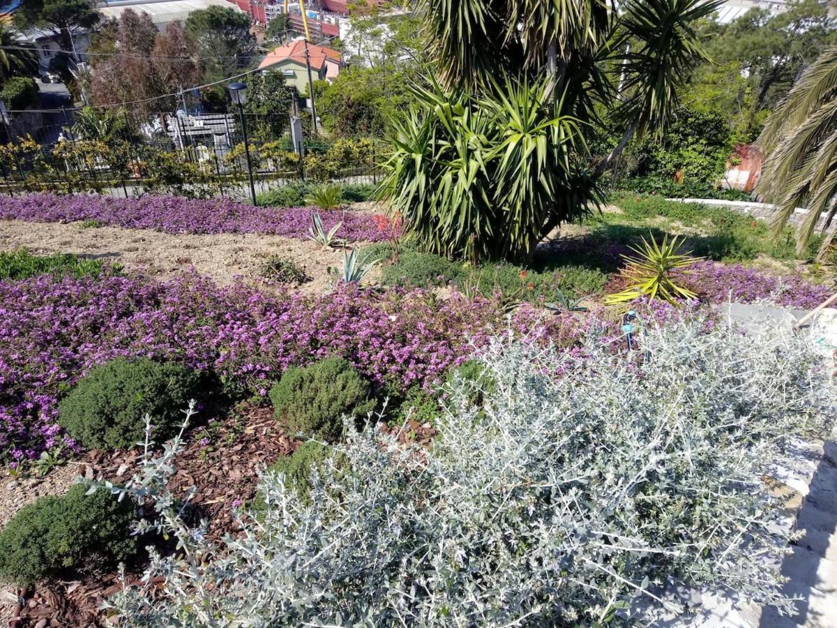 Appartamento Taggiasca A Riva Trigoso Sestri Levante Eksteriør billede