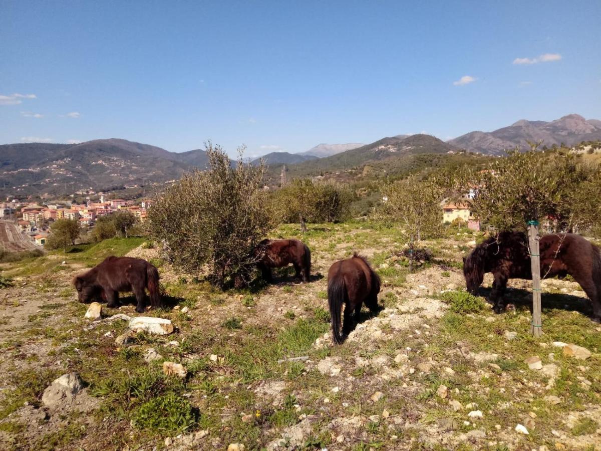 Appartamento Taggiasca A Riva Trigoso Sestri Levante Eksteriør billede